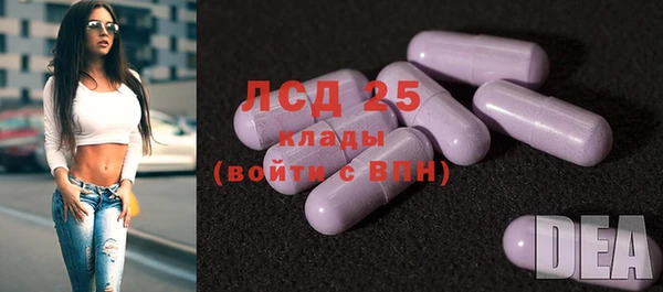 гидра Армянск