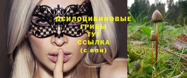 тгк Тихвин