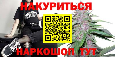 гашик Новодвинск