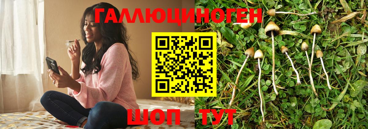 купить наркоту  Вход с VPN  Южно-Сахалинск  Псилоцибиновые грибы мицелий 